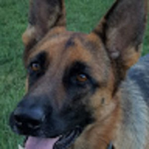 Meet your Posher, Michele